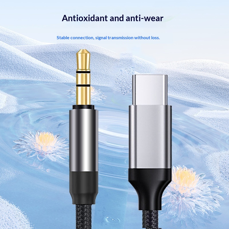 USB-C to 3.5 mm Audio Cable