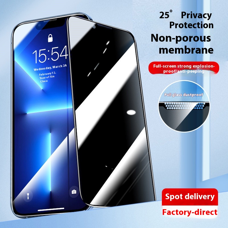 Borderless Privacy Tempered Glass for iPhone 17