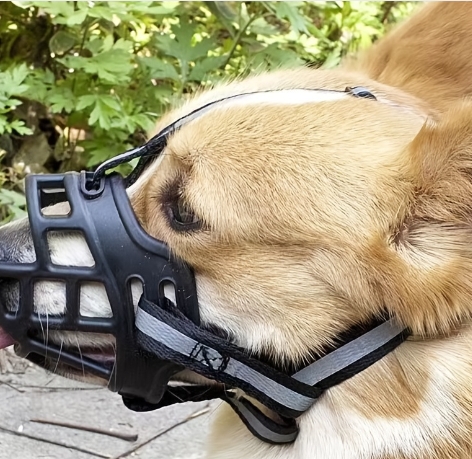 Nylon Face Mask, Black